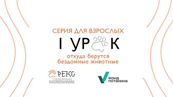 Владимир Потанин VK Видео