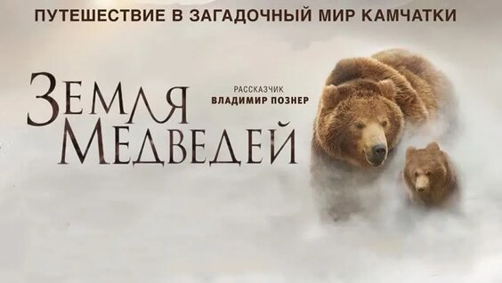 Владимир Познер VK Видео