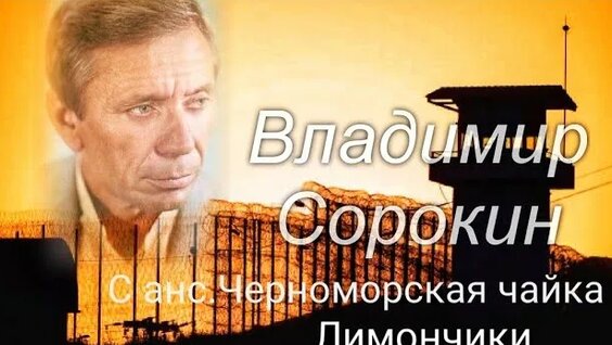Владимир Сорокин Rutube