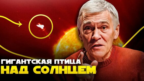 Владимир Сурдин Rutube