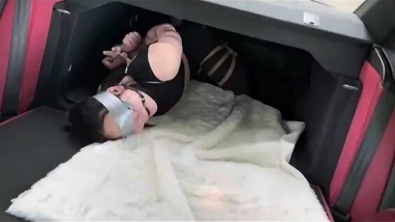 Владимир Тарасов VK Видео