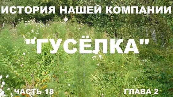 владимир захаров VK Видео