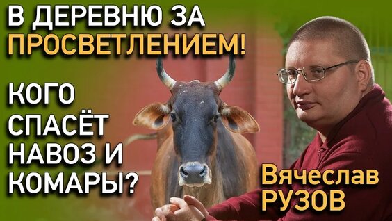 Вячеслав Рузов VK Видео