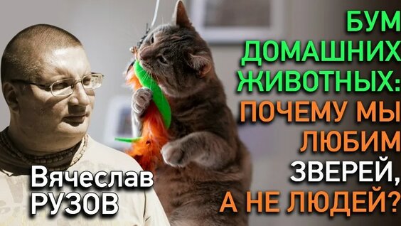 Вячеслав Рузов VK Видео