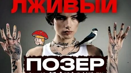 Xolidayboy VK Видео