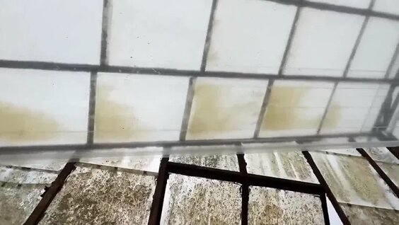 Ярослава Тринадцатко VK Видео