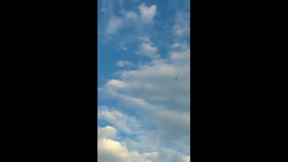 Юлия Гаврилина VK Видео