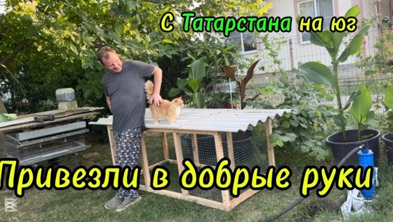 Юлия Пересильд Rutube