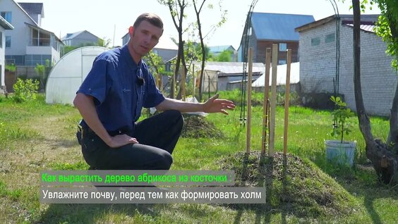 Юрий Степанов VK Видео
