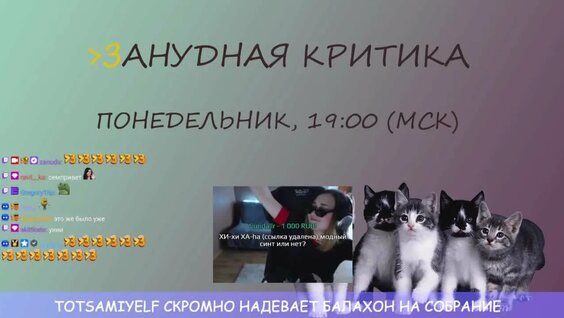 Зануда VK Видео