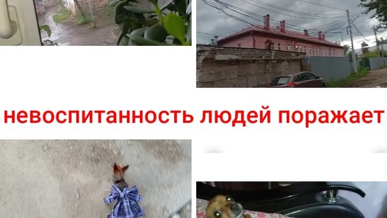 Зануда Rutube