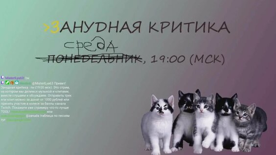 Зануда VK Видео