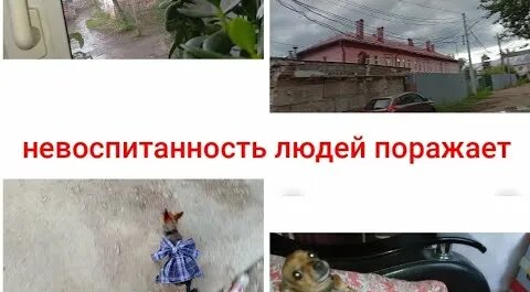 Зануда YouTube