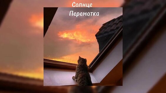 Земфира VK Видео