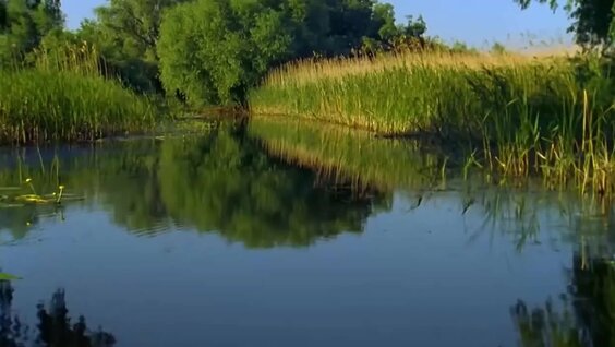 Земляне VK Видео
