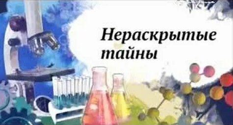Жасмин Rutube