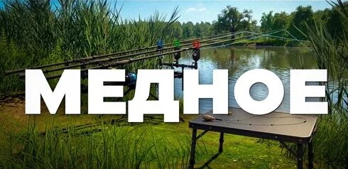 Zoloto Дзен