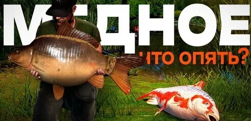 Zoloto Дзен