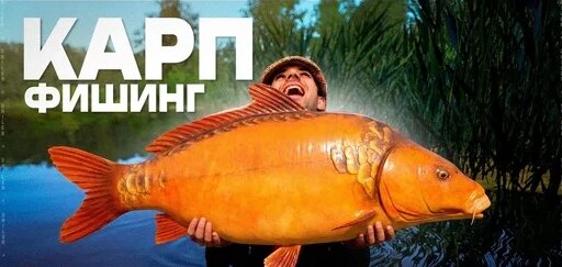 Zoloto Дзен