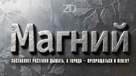 Zoloto YouTube