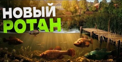Zoloto Дзен