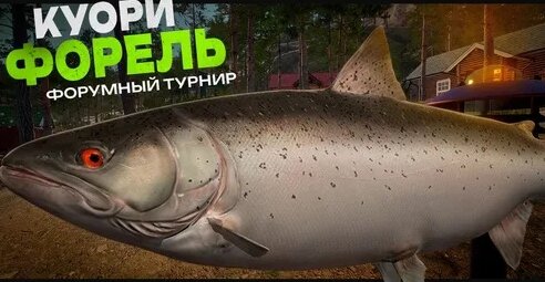 Zoloto Дзен