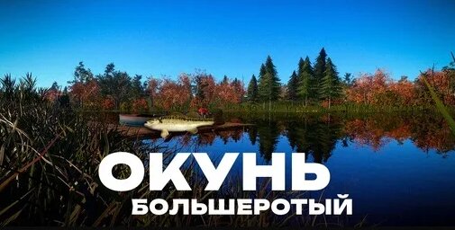 Zoloto Дзен
