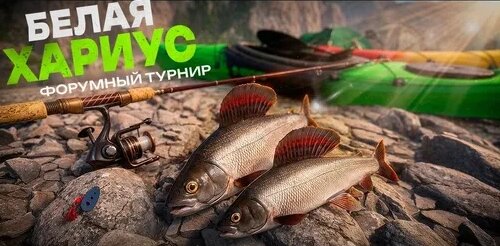 Zoloto Дзен