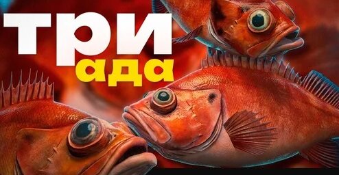 Zoloto Дзен