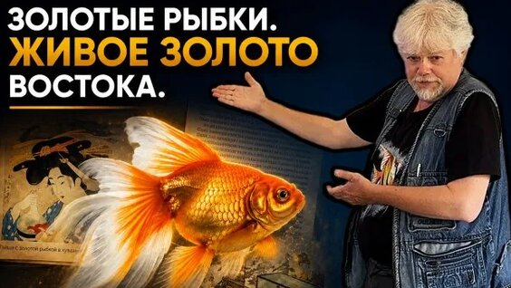 Zoloto Rutube