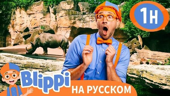 Зоопарк VK Видео