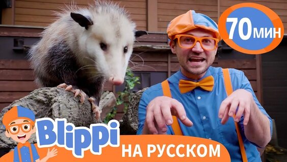 Зоопарк VK Видео