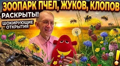 Зоопарк YouTube