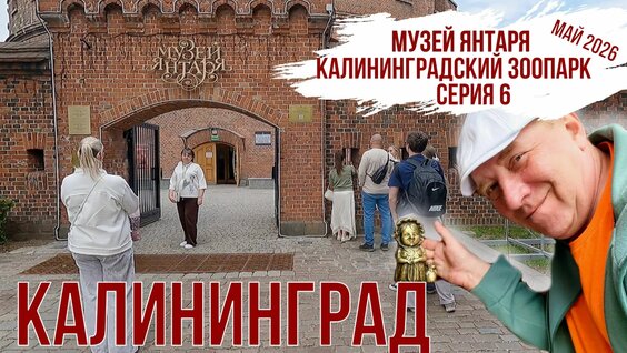 Зоопарк Rutube