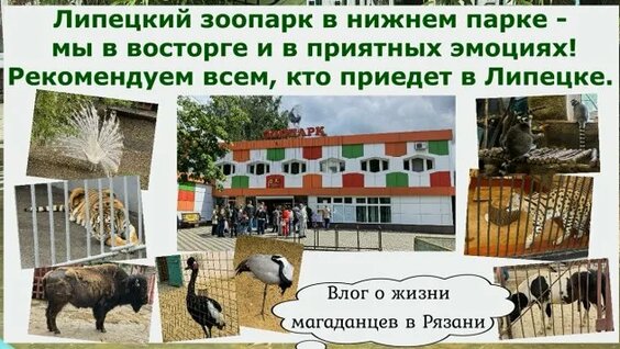 Зоопарк Rutube