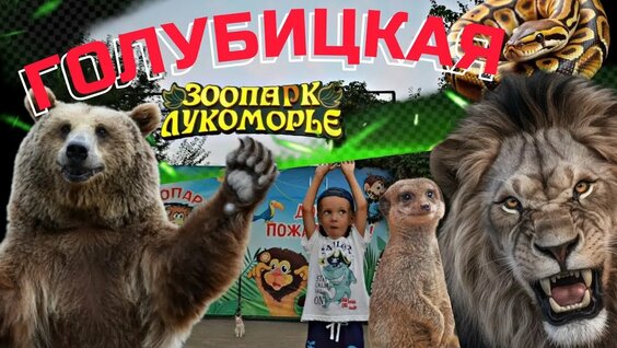 Зоопарк YouTube