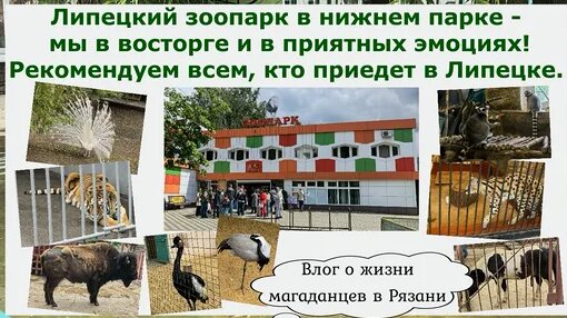 Зоопарк Дзен