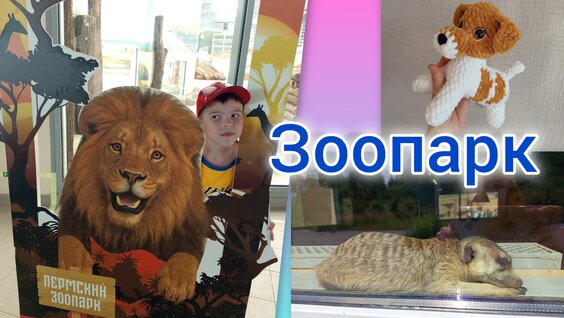 Зоопарк Rutube