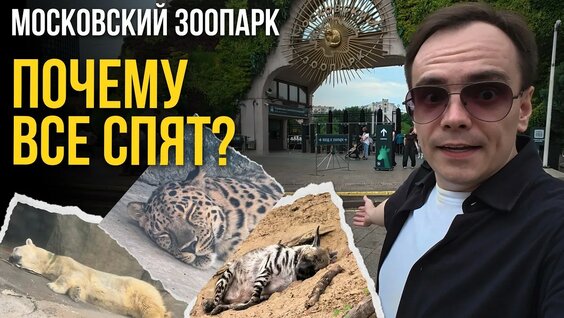 Зоопарк YouTube