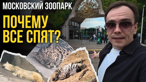 Зоопарк Rutube