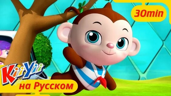 Зоопарк VK Видео