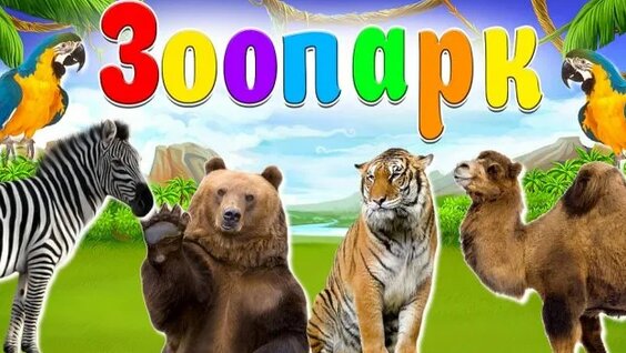 Зоопарк Rutube