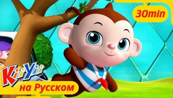 Зоопарк VK Видео