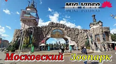 Зоопарк Rutube