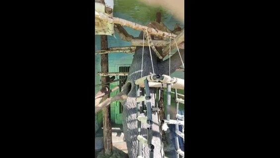 Зоопарк VK Видео