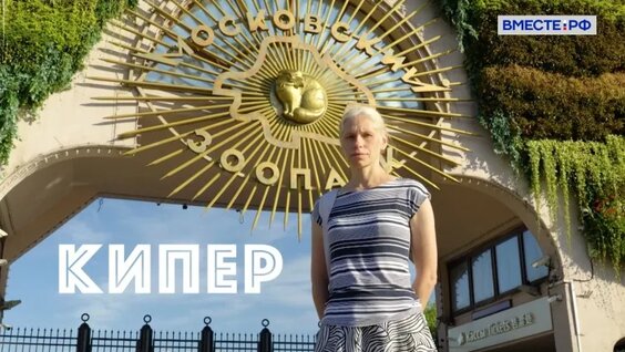 Зоопарк VK Видео