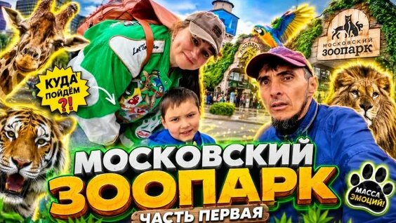 Зоопарк Rutube