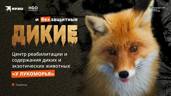 Звери Rutube