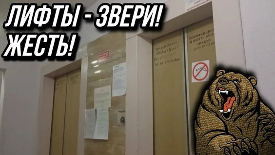 Звери YouTube