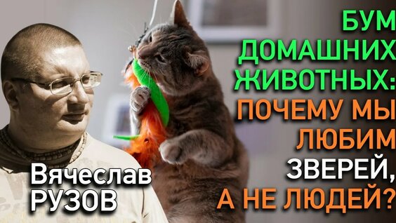 Звери YouTube
